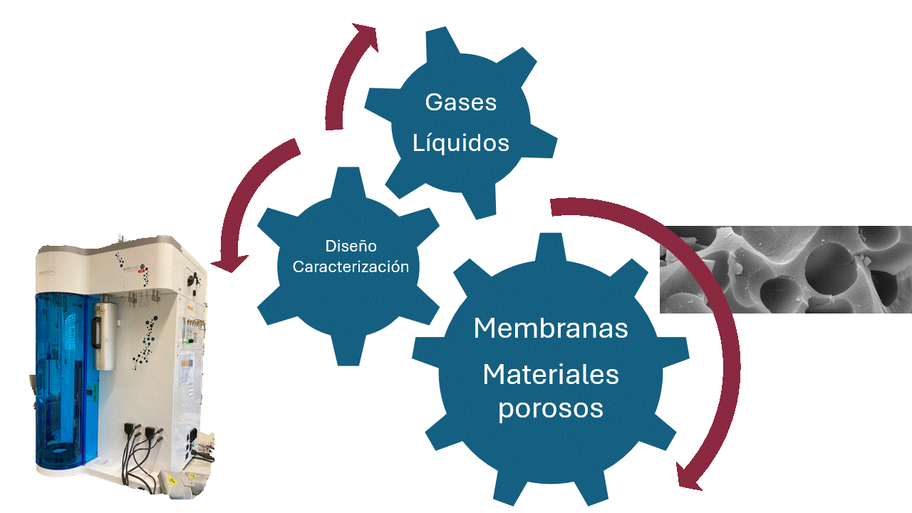 SMAP lineas de investigación